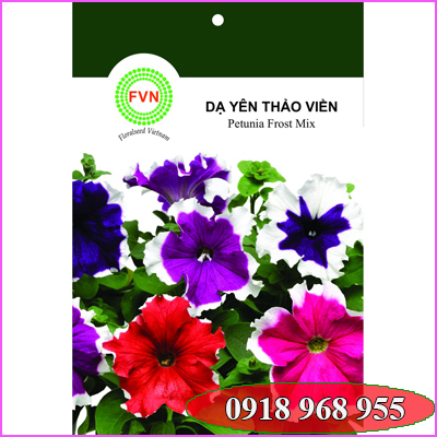 In tui hạt giống| congtyinbaobigiay.com